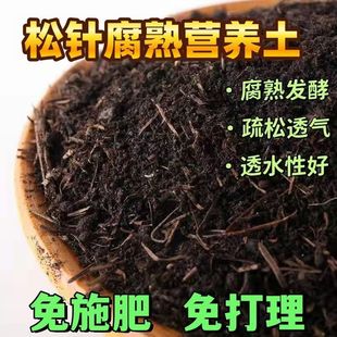 天然松针腐殖土腐熟腐叶土君子兰花多肉有机营养土养花种菜通用土
