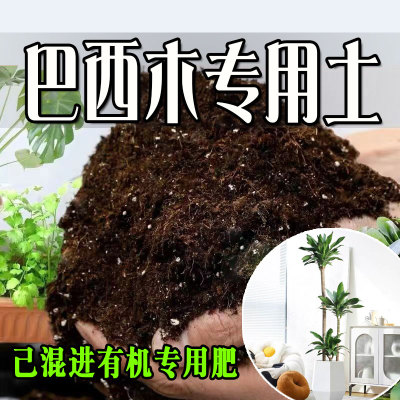 巴西木专用土 疏松透气盆栽绿植专用室内植物营养土有机肥料种植