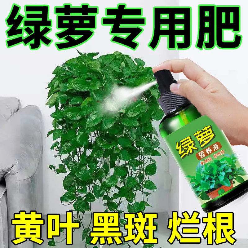 绿萝专用营养液肥料催长叶催生根防黄叶烂根黑斑掉叶家用免稀释肥