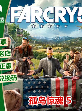 XBOX正版游戏孤岛惊魂5兑换码
