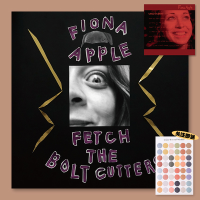 FionaApple专辑封面海报满5送1
