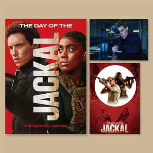 豺狼的日子小雀斑美剧海报卧室房间床头装饰画墙贴无框画贴墙挂画