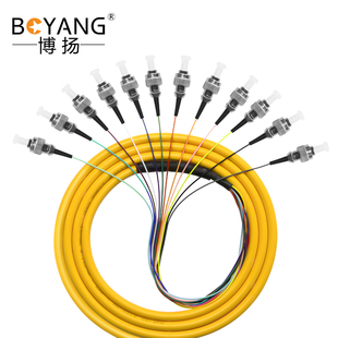 博扬(BOYANG)BY-FC12 电信级单模光纤跳线尾纤1.2米12芯FC束状