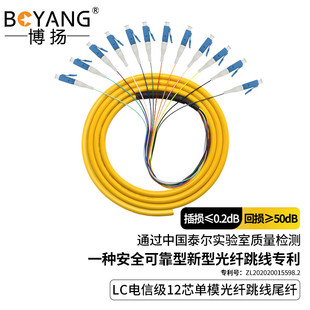 博扬(BOYANG)BY-LC12 电信级单模光纤跳线尾纤1.2米12芯LC束状