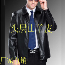 山羊皮单皮外套 海宁皮尔卡丹真皮皮衣男士 翻领皮夹克中年春秋薄款