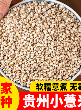 正宗兴仁薏仁米250g 贵州小薏米老品种搭配五指毛桃土茯苓牛大力
