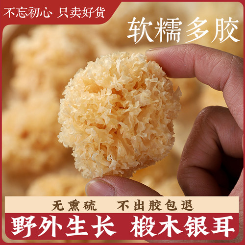 椴木小银耳干货易出胶