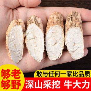 牛大力野生新鲜中药材干货牛古大力滋补汤包可泡酒500g 特大牛