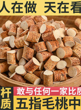 正宗野生五指毛桃根茯苓茶土茯苓牛大力非特级中药材莫氏鸡煲汤料