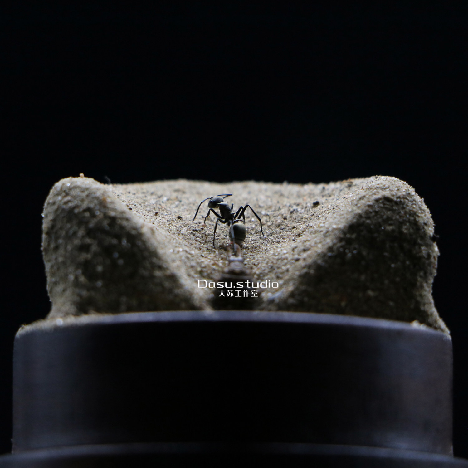 【陷阱】蚁狮捕食蚂蚁微景观生态标本玻璃罩大苏昆虫收藏生活史|msdalam kategori Aksesori rumah, hiasan - dari Buy2taobao.com untuk memberikan perkhidmatan ejen Taobao profesional membeli