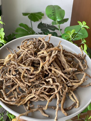 野生玉竹 神农架无硫玉竹 熬夜人士 实物拍摄