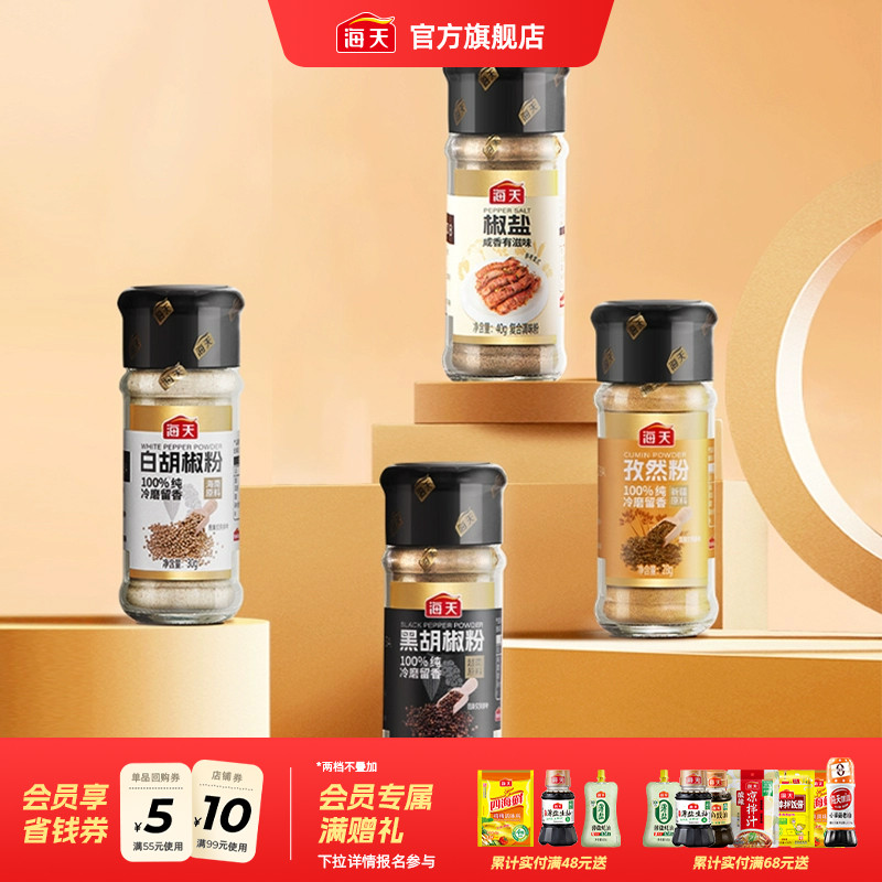 海天正宗香辛料家用撒料烧烤调料