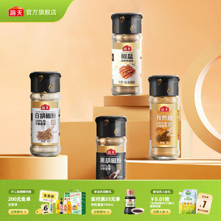 海天纯胡椒粉孜然粉香辛料撒料烧烤调料 秒杀