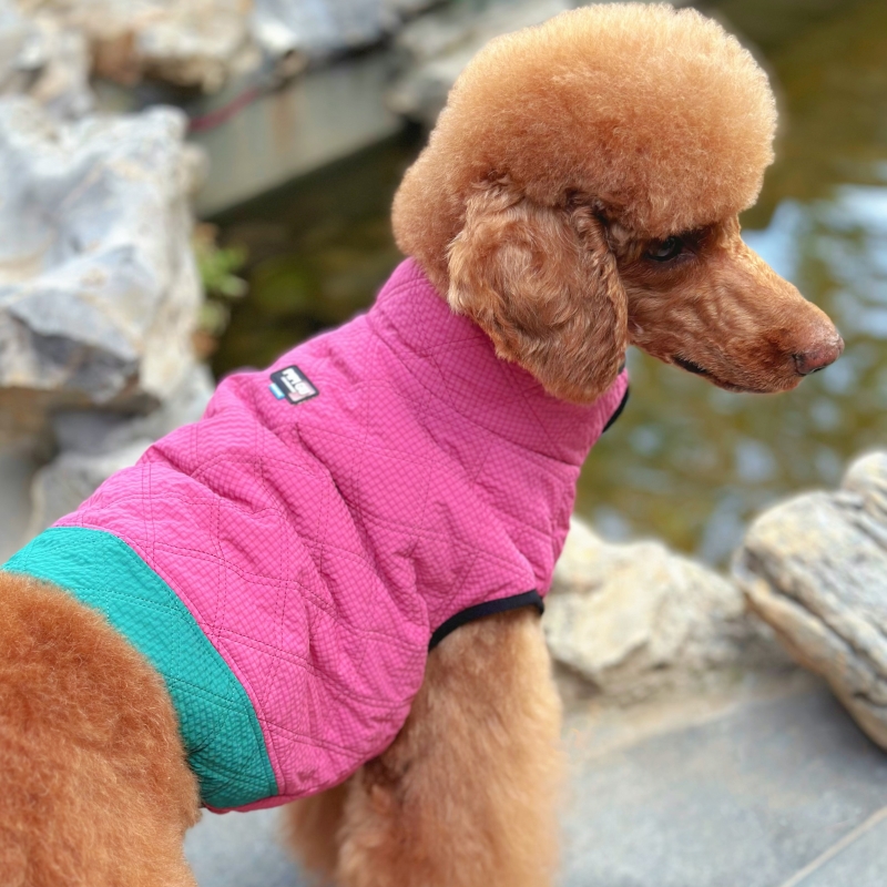 顾皮皮巨贵棉保暖背心