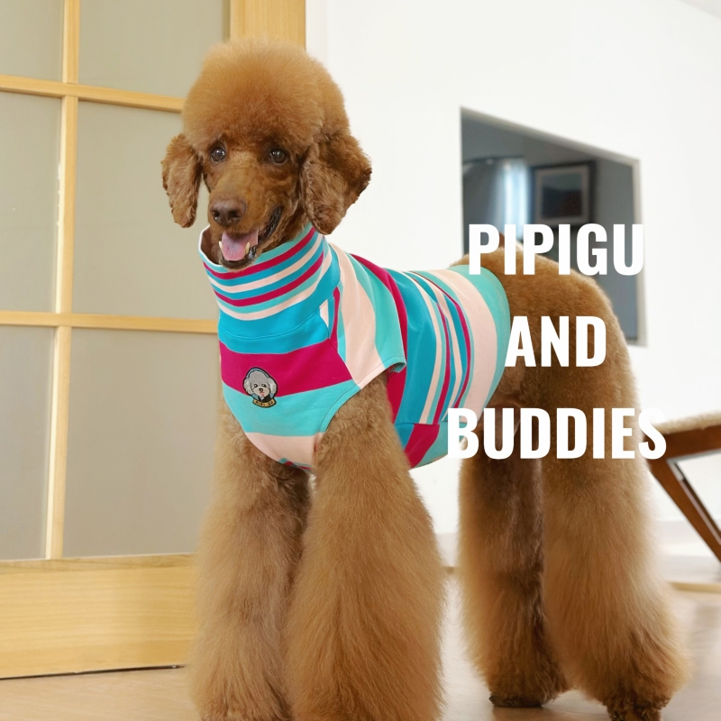 顾皮皮巨贵秋冬居家高领彩条背心加厚色织棉纱保暖打底衫防静电