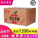 顺丰 寺河山天然富硒SOD红富士新鲜水果产地直发 灵宝苹果实惠装