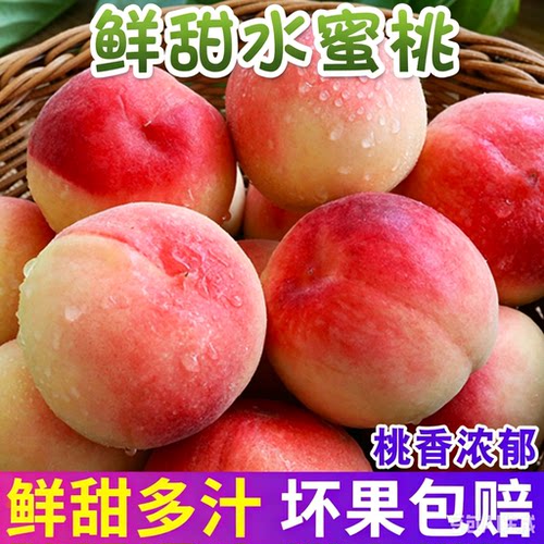 正宗现摘脆桃子水蜜桃整箱包邮