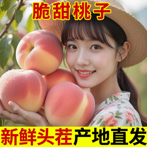 现摘脆桃子新鲜水果水蜜桃