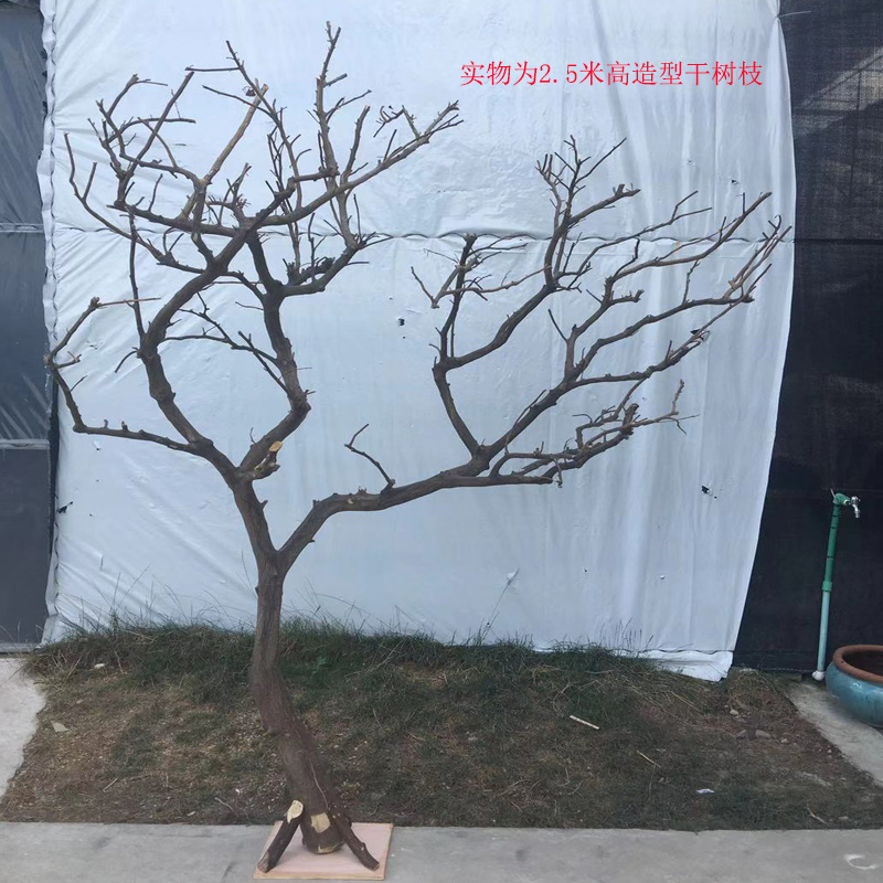 干树枝造景挂件落地摆件橱窗吊顶
