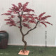 仿真红枫树许愿树装 饰树客厅橱窗商场景观造景落地摆件拍摄道具