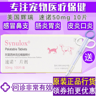 1板 速诺50mg宠物消炎药狗狗猫咪鼻支感冒咳嗽拉稀呕吐尿血速诺片