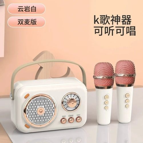 【礼盒装】铂典联名艾硕美B152蓝牙音响家庭KTV卡拉OK迷你k歌音响