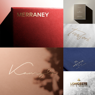 50款质感多材质徽标标志logo效果设计展示样机组合贴图一键替换