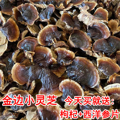 长白山金边小灵芝运费险