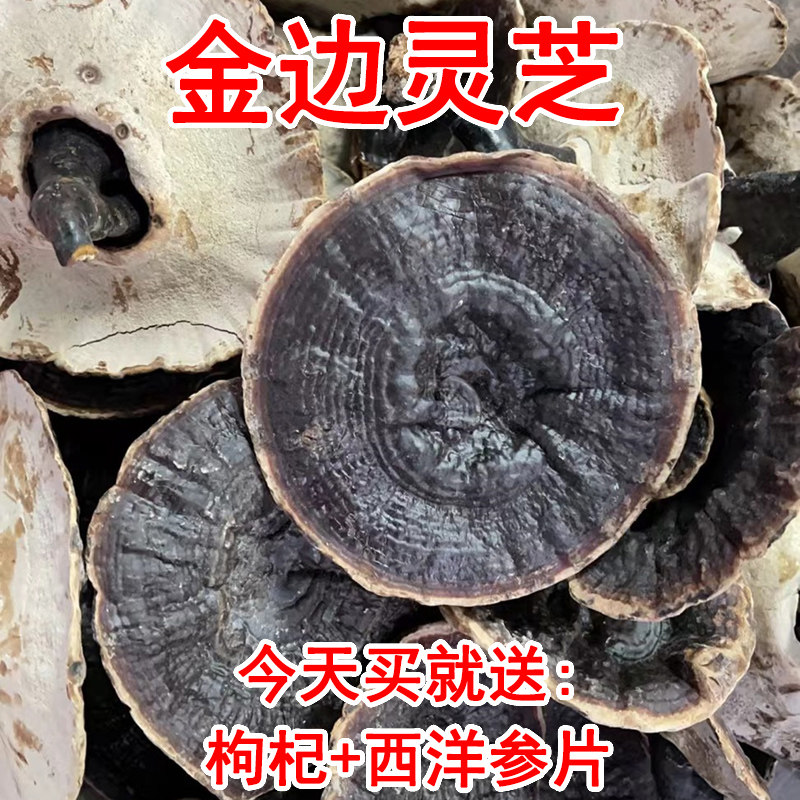 长白山不苦金边灵芝赠送运费险