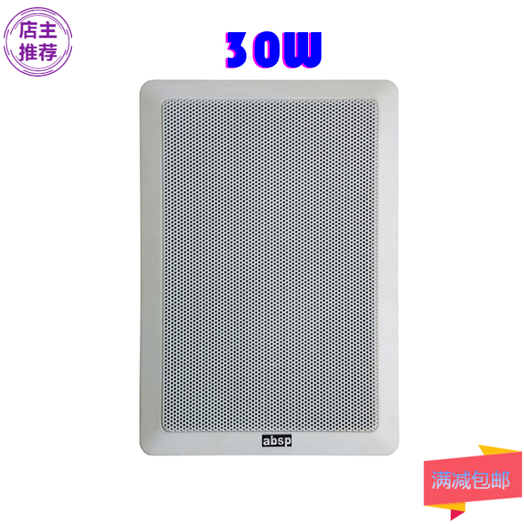 30W吸顶喇叭 长方形塑胶+钢网墙壁音箱 室内音响 天花喇叭