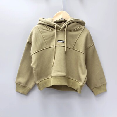 福利RD阿MuA和110-130秋冬 品牌童装折扣/一体绒套头卫衣21562卡