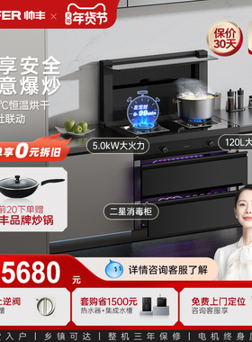 帅丰TJ1-3B二星消毒柜集成灶4.5kw油烟机燃气灶一体灶家用灶