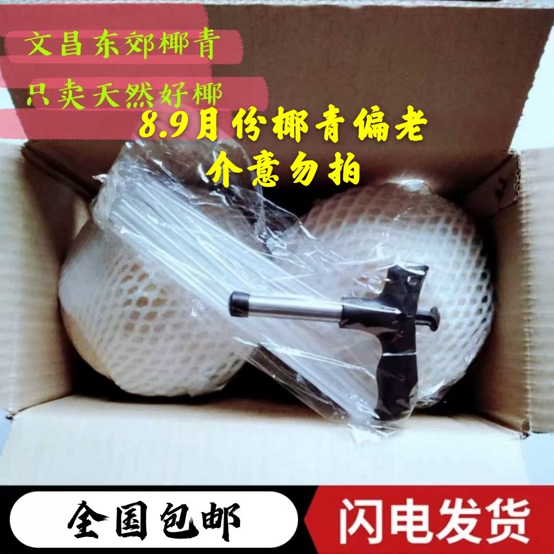 2个装海南特产椰青椰子新鲜水果椰皇毛椰榨椰汁椰肉煲汤全国包邮|msdalam kategori daging perikanan/Buah-buahan segar dan sayur-sayuran/dimasak, buah-buahan segar, kelapa - dari Buy2taobao.com untuk memberikan perkhidmatan ejen Taobao profesional membeli