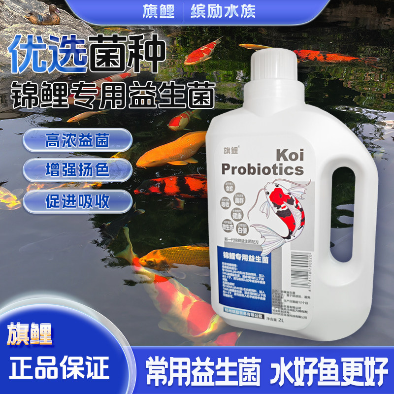 旗鲤益生菌观赏鱼专用提状态