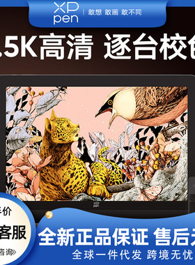 XPPen数位屏ArtistPro16(2.5K)手绘屏电脑绘画屏数绘屏手绘数位板