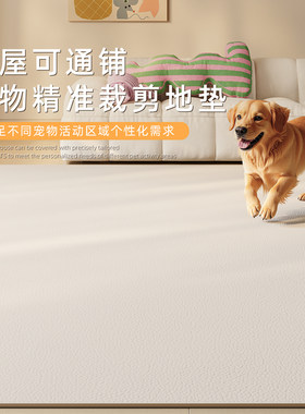 宠物专用客厅地毯防水隔尿