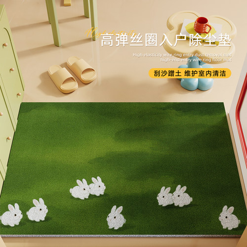 入户门垫2026新款地垫室内专用耐脏家用垫子进门脚垫门口绿色地毯