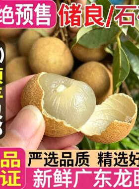 【顺丰包邮】广东茂名储良龙眼石硖当季新鲜桂圆大水果整箱批发