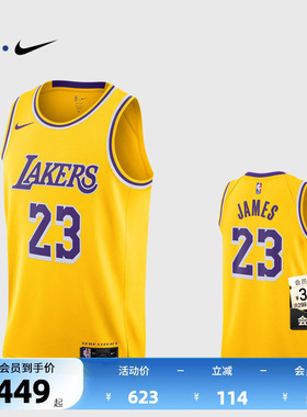 NBA官方NIKE耐克湖人队詹姆斯SW球迷版球衣专业训练背心篮球服男