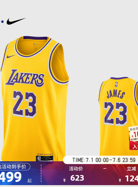 NBA官方NIKE耐克湖人队詹姆斯SW球迷版球衣专业训练背心篮球服男