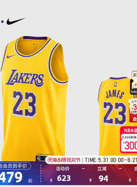 NBA官方NIKE耐克湖人队詹姆斯SW球迷版球衣专业训练背心篮球服男