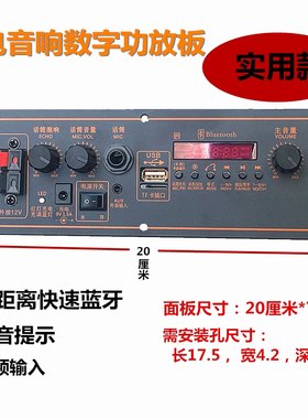 蓝牙9V供电户外广场舞主板功放板