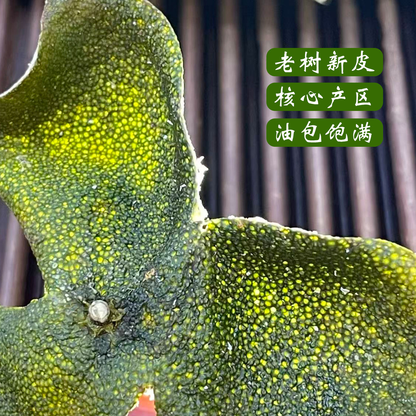 2025年新会圈枝柑小青皮三花皮