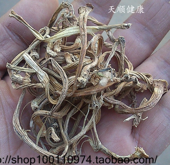 苦丁香 1千克克330 天顺健康大全 苦丁香 甜瓜蒂