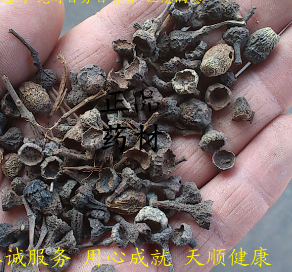 桂子 1千克45 天顺健康 煎药 袋子 正品 桂子 加工桂子粉