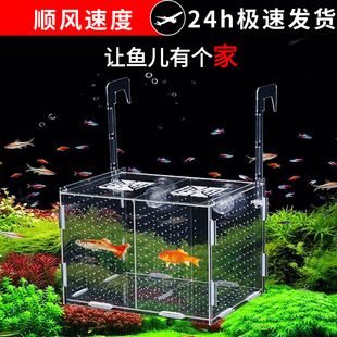 鱼缸池隔离盒亚克力孔雀鱼金波子鱼鹦鹉鱼分隔盒孵化器育苗鱼苗