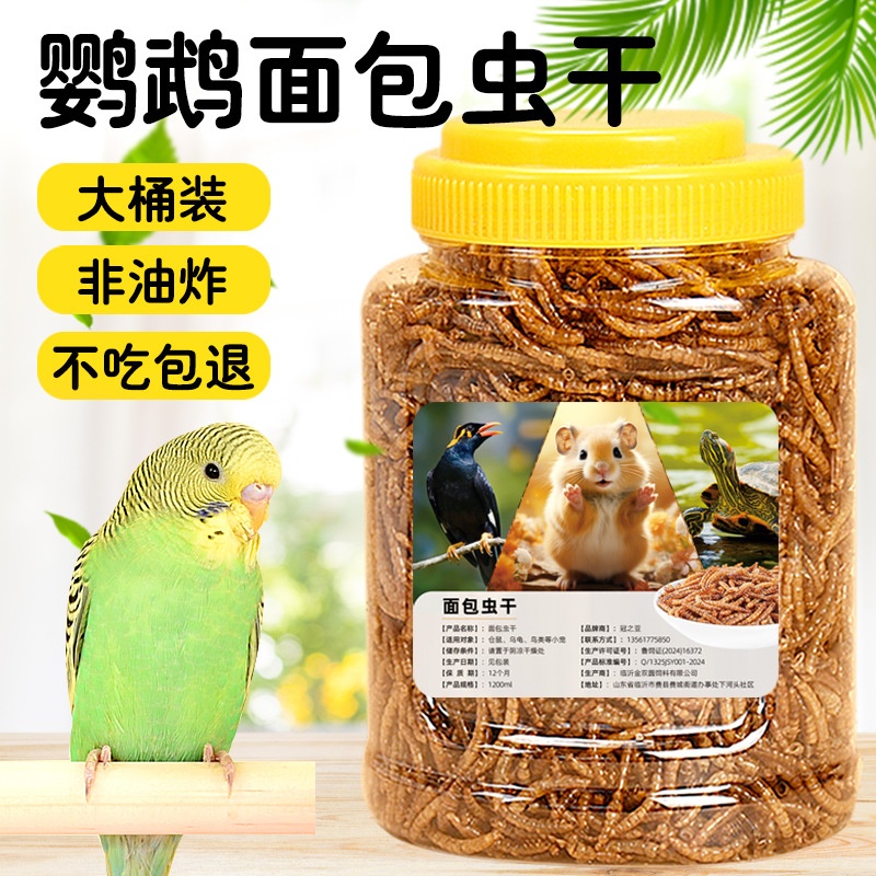 八哥鹦鹉面包虫高蛋白面包虫干黄粉虫干凤鹦鹉玄风珍珠鸟食饲料