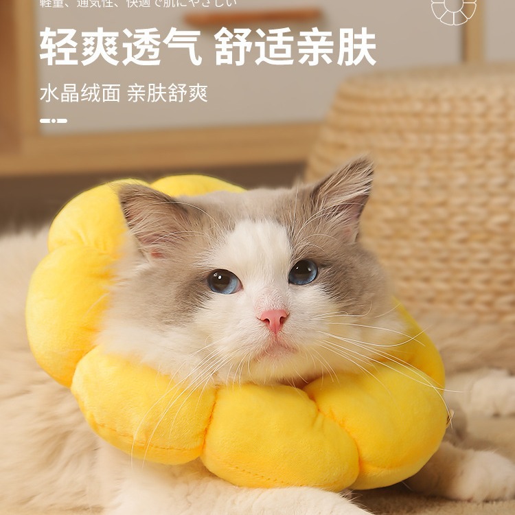 热卖跨境伊丽莎白圈猫咪猫头套绝育防舔美容伊丽莎白头套宠物项圈