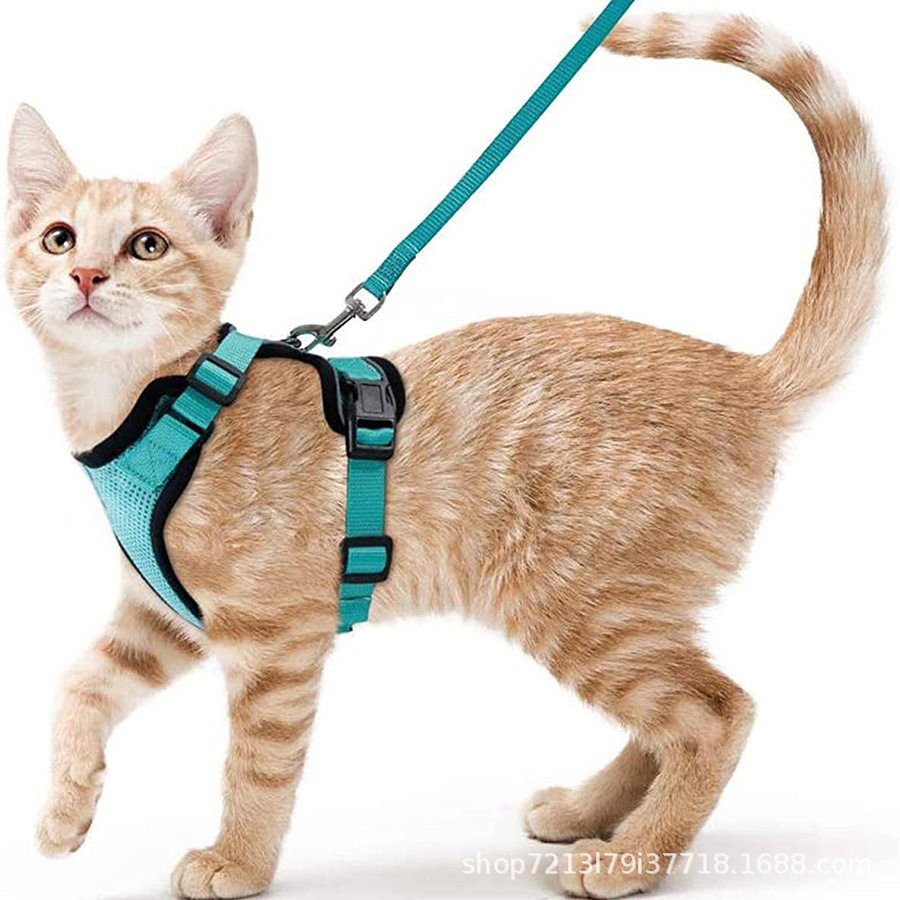 宠物用品猫猫透气胸背带反光防挣脱遛猫绳猫牵引绳小型狗狗胸背带