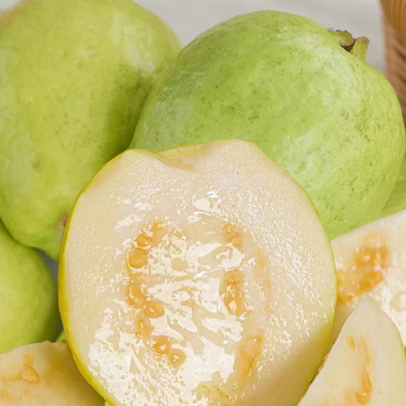 顺丰包邮奶油芭乐软糯白心番石榴